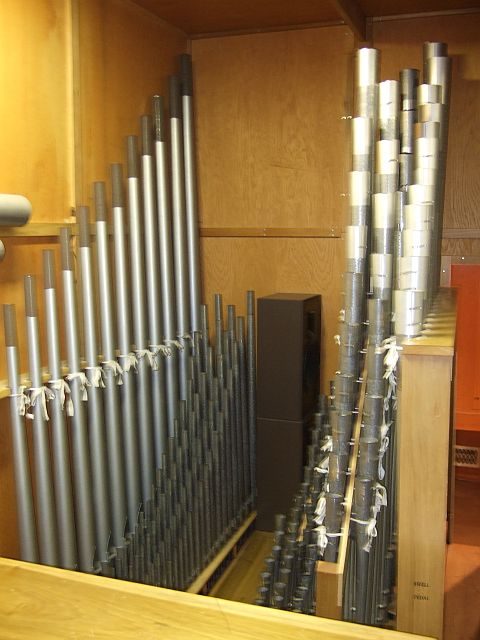 Pipes of the Reuter organ
